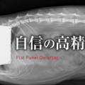 動物用FPD（フラットパネルディテクター）